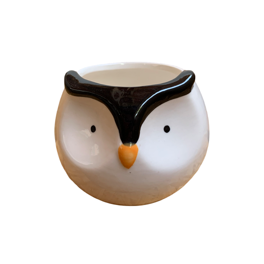 Vaso de Cerâmica - Modelo 14